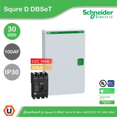 Schneider Electric ตู้โหลดเซ็นเตอร์ รุ่น Square D DBSeT ขนาด 30ช่อง + MCCB รุ่น EZC 3P 100A 30kA