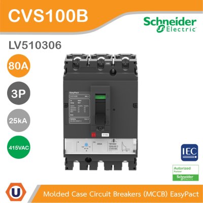 Schneider Electric Circuit Breaker EasyPact CVS100B 25kA at 415VAC 80A 3P | LV510306