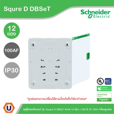 Schneider Electric ชุดตู้โหลดเซ็นเตอร์ Square D DBSeT 12ช่อง+MCCB EZC 3P 100A 30kA พร้อมลูกย่อย 8ตัว