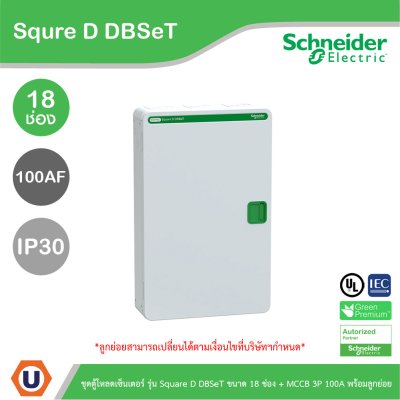 Schneider Electric ชุดตู้โหลดเซ็นเตอร์ Square D DBSeT 18ช่อง+MCCB EZC 3P 100A 30kA พร้อมลูกย่อย 14ตัว