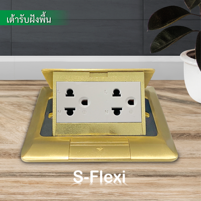 Schneider ชุดเต้ารับฝังพื้นอะลูมิเนียมทองเหลือง พร้อมกล่องฝัง + เต้ารับคู่ 3ขา 3 ช่อง รุ่น S-Flexi E227F_BAS+F1426UEST2M