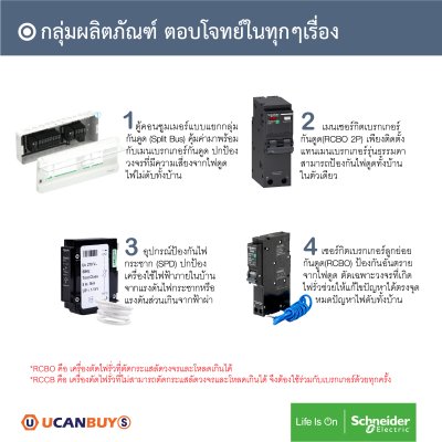 Schneider SET ตู้แสควร์ดี 14 ช่อง+เมนกันดูด RCBO 50A + ลูกย่อย 32A/20A/16A ครบชุดพร้อมใช้ ตู้ไฟ 1 เฟส 2 สาย 240 โวลท์