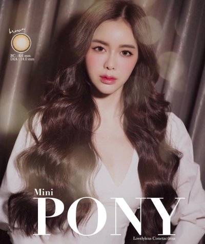 mini pony