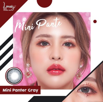 mini panter