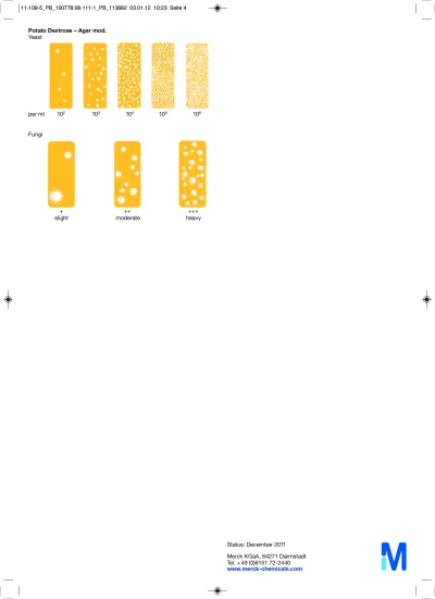 Cult-Dip combi, Dipslide ,(10 test/pack) "Merck"