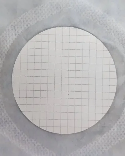 Membrane Filter Gridded,GN-6,0.45 um, 47mm,100/Box