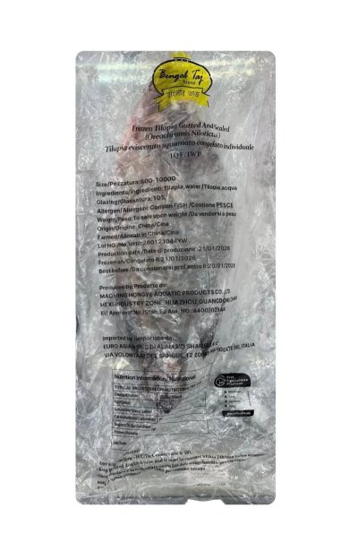 FROZEN TILAPIA GUTTED AND SCALED SIZE 800-1000 G -BENGAL TAJ BRAND (CHINA)  ปลานิล (ฝ่าท้องทำความสะอาด) 800-1000 G -BENGAL TAJ