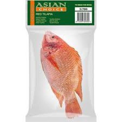 Tilapia Rossa G&S IWP 5/700 1 X 4 KG SCELTA ASIATICA
