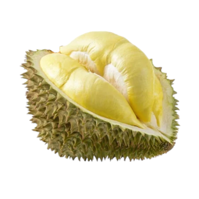 Durian kg no.6 :1.994 Kg