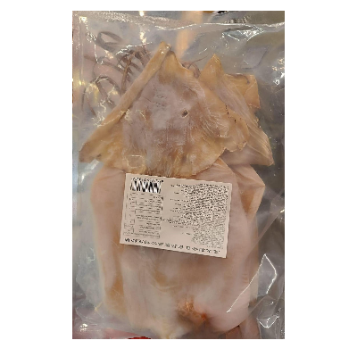 DRIED SQUID 1 KG