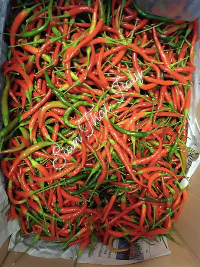 Red Chilli  500Gr