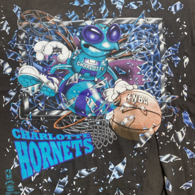 Charlotte Hornets Vintage Size XL Product condition 50%