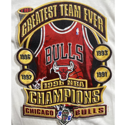 Chicago Bulls Vintage Size L