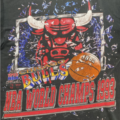 Chicago Bulls Vintage 1993 Size XL