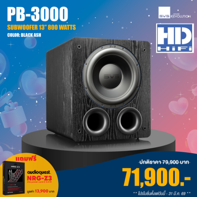 SVS PB3000 Subwoofer Speaker Black Ash
