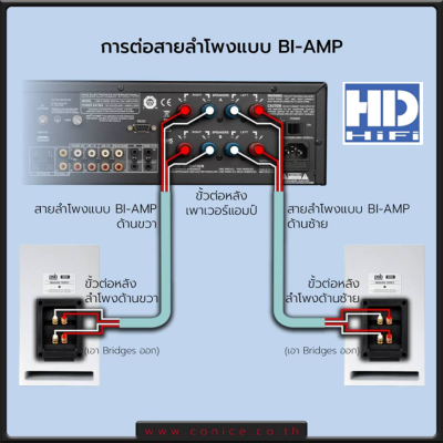 Supra XL Annorum CombiCon Speaker Cable Set สายลำโพงสำเร็จรูปมีหลายแบบ