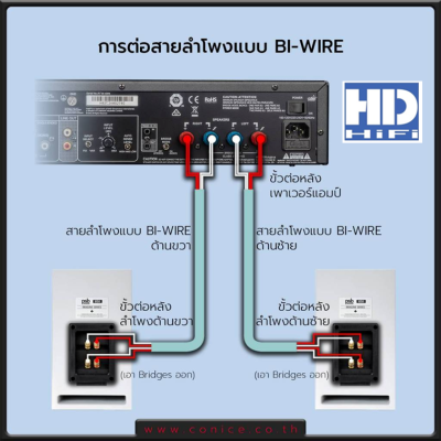 Supra XL Annorum CombiCon Speaker Cable Set สายลำโพงสำเร็จรูปมีหลายแบบ
