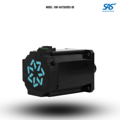 GM1-HA75B30CS-80-750W( Set รวม Driver + สาย Connector )