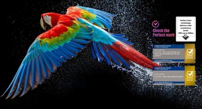 ทีวี LG OLED evo AI C5 4K Smart TV 2025 รุ่น OLED