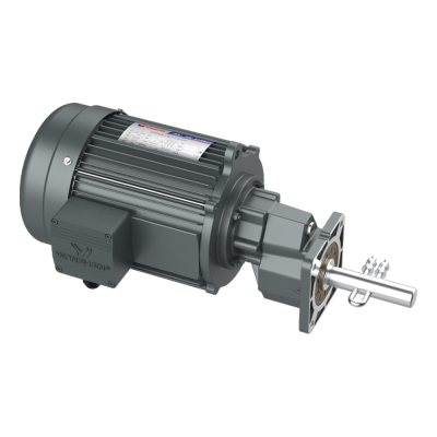 มอเตอร์เกียร์ ให้อาหารสัตว์ปีก (Poultry Farm Feeding Gear Motor)