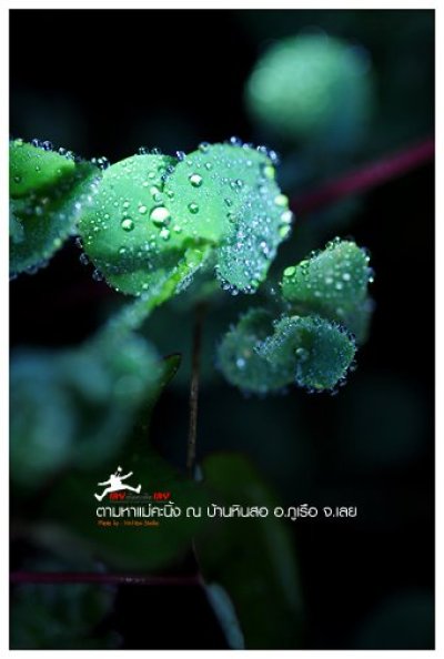 ตามหาแม่คะนิ้ง ณ บ้านหินสอ