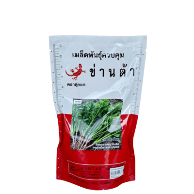 ผักชี พันโคน ตราตุ๊กแก ขนาด 300 กรัม