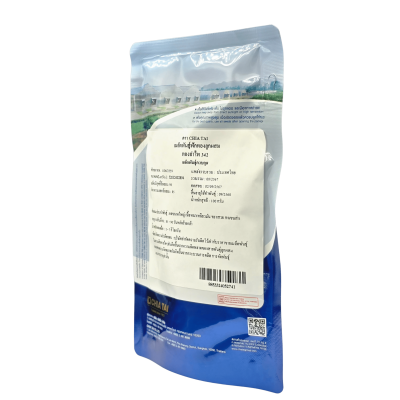 เมล็ดพันธุ์ฟักทอง ทองอำไพ 342   ตรา เจียไต๋ ขนาด 100 ก. เมล็ดพันธุ์ฟักทอง ทองอำไพ 342   ตรา เจียไต๋ ขนาด 100 ก.