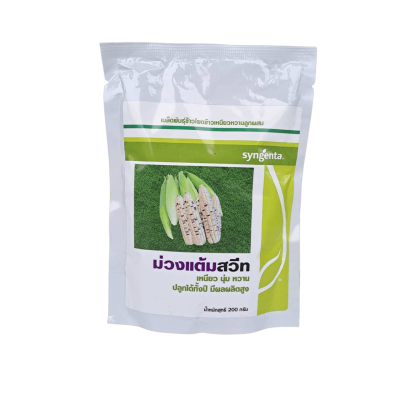 เมล็ดพันธุ์ข้าวโพดเหนียวหวาน ม่วงแต้มสวีท (Syngenta) ขนาด 200 กรัม