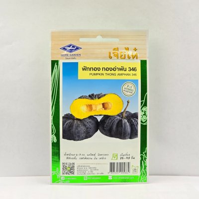 เมล็ดพันธุ์ ฟักทอง ทองอำพัน 346 ตราเจียไต๋ ขนาด 2 กรัม บรรจุ 20 เมล็ด
