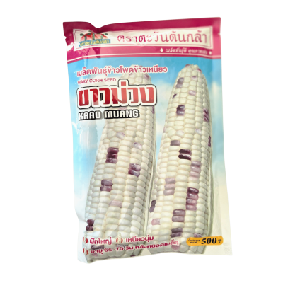 เมล็ดพันธุ์ข้าวโพดข้าวเหนียวขาวม่วง ตราตะวันต้นกล้า ขนาด 500 กรัม
