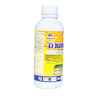 ซานเชส ขนาด 1000 ซีซี ซานเชส ขนาด 1000 ซีซี