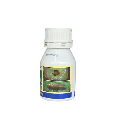 เอ็กซอล (Exalt) ขนาด 250 ซีซี เอ็กซอล (Exalt) ขนาด 250 ซีซี