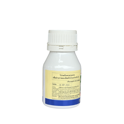 เอ็กซอล (Exalt) ขนาด 250 ซีซี เอ็กซอล (Exalt) ขนาด 250 ซีซี