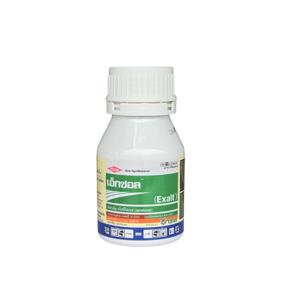 เอ็กซอล (Exalt) ขนาด 250 ซีซี เอ็กซอล (Exalt) ขนาด 250 ซีซี