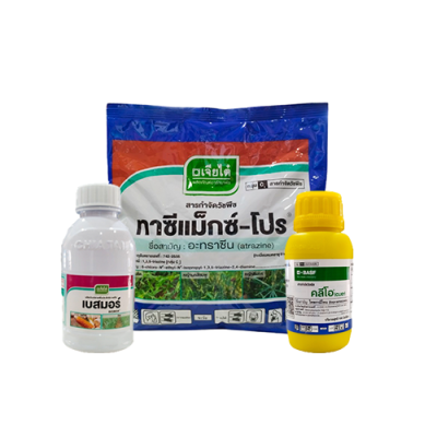 คลีโอ-โปร 1 ชุด 6 ไร่ (โทรพามีโซน+อะทราซีน 90% ดับบลิวจี+สารเสริมประสิทธิภาพ) คลีโอ-โปร 1 ชุด 6 ไร่ (โทรพามีโซน+อะทราซีน 90% ดับบลิวจี+สารเสริมประสิทธิภาพ)