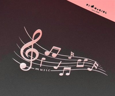 แฟ้มใส่โน้ตเพลงลายตัวโน้ตเมทาลิค มี 5 สี