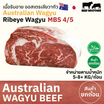 ริบอาย ทาจิม่า ออสเตรเลีย วากิว (Tajima) (Australia Wagyu Tajima Ribeye 4/5) リブロース (Ribu Rosu)