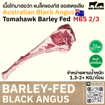 โทมาฮอว์ก ออสเตรเลีย บาร์เลย์เฟด (WDR) (Australian BF Wanderer Tomahawk)