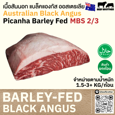 พิคานย่า ออสเตรเลีย บาร์เลย์เฟด (WDR) (Australian BF Wanderer Picanha)
