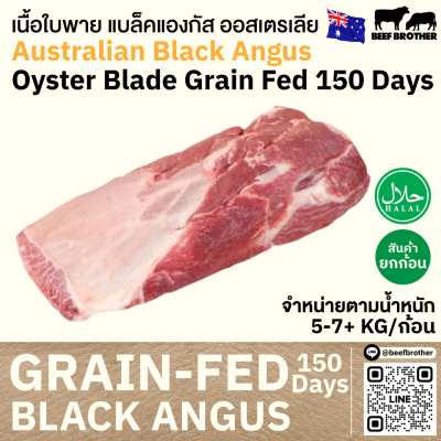 ใบพาย ออสเตรเลีย ขุน 150 วัน (Riverina) (Australia GF 150 Days Oyster Blade)