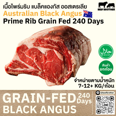 ไพร์มริบ ออสเตรเลีย ขุน 240 วัน (Portoro) (Australia GF 240 Day Prime Rib)