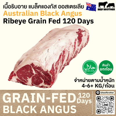 ริบอาย ออสเตรเลีย ขุน 120 วัน (Kilcoy) (Australia GF 120 Days Ribeye)