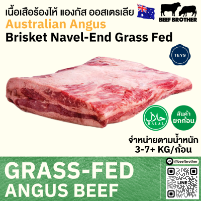 เนื้อเสือร้องไห้ ออสเตรเลีย กลาสเฟด (TEYS) (Australia Grass Fed Brisket Navel End)