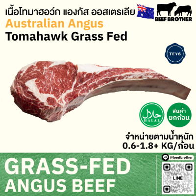 โทมาฮอว์ก ออสเตรเลีย กลาสเฟด (GST) (Australia YP Great Southern Tomahawk)