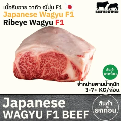 เนื้อสันแหลมริบอาย F1 (Japanese F1 Wagyu Ribeye) リブロース (Ribu Rosu)