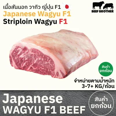 เนื้อสันนอก F1 (Japanese F1 Wagyu Striploin) サーロイン (Saaroin)