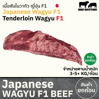 เนื้อสันใน F1 (Japanese F1 Wagyu Tenderloin) ヒレ / フィレ (Hire / Fire)