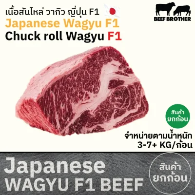 เนื้อสันไหล่ F1 (Japanese F1 Wagyu Chuck Roll) 肩ロース (Kata Roosu)