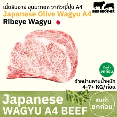 เนื้อสันแหลมริบอาย โอลีฟ วากิว A4 (Japanese A4 Olive Wagyu Ribeye) リブロース (Ribu Rosu)