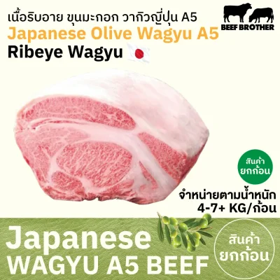 เนื้อสันแหลมริบอาย โอลีฟ วากิว A5 (Japanese A5 Olive Wagyu Ribeye) リブロース (Ribu Rosu)